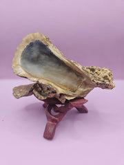 Hand - Painted Oyster Shells with Wooden Stands – Unique Coastal Art by Local Artist - ShelllsLoving Coastal Living