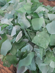 Hand Tumbled Seaglass Frosted Seafoam & Bright Green Colors - SeaglassLoving Coastal Living