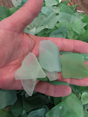 Hand Tumbled Seaglass Frosted Seafoam & Bright Green Colors - SeaglassLoving Coastal Living