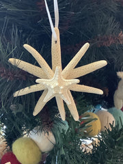 Handmade Starburst Starfish Ornament - holiday decorLoving Coastal Living