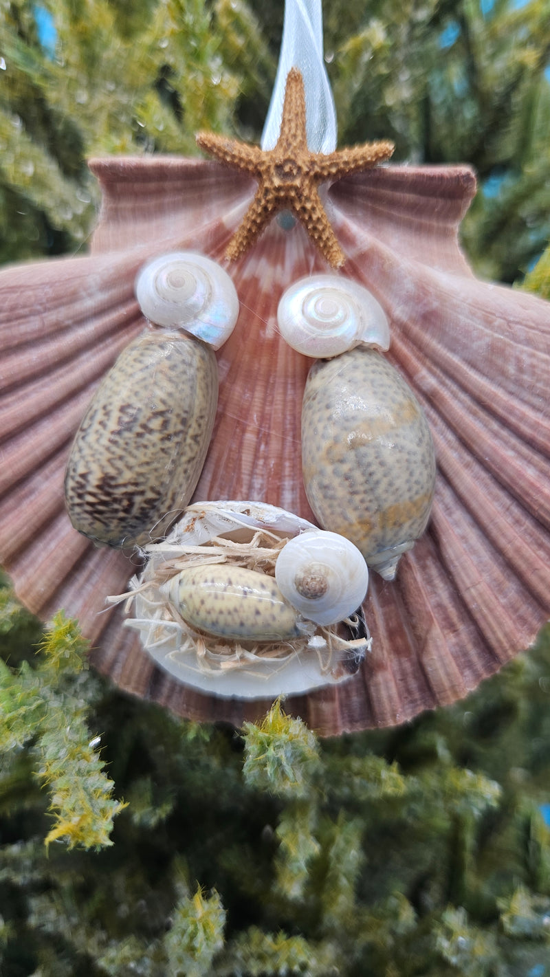 Handmade scallop shell nativity ornament with starfish – coastal Christmas decoration