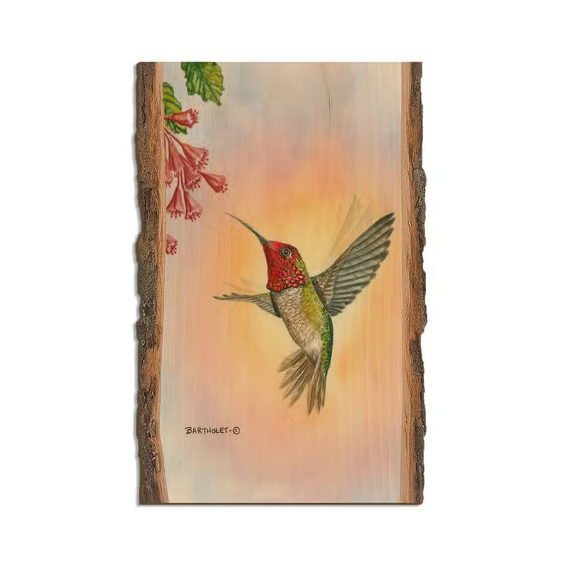 Anna Hummingbird - Wood Magnets