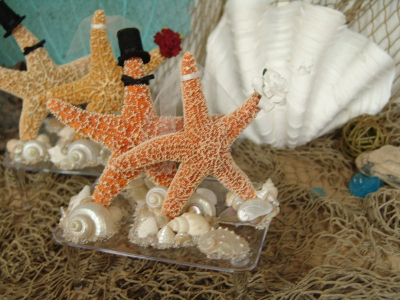 Coastal Beach Wedding Cake Topper Alternative Decoration Seashells Bride and Groom Starfish People Groom Top Hat Bow Tie Veil Bouquet Stand