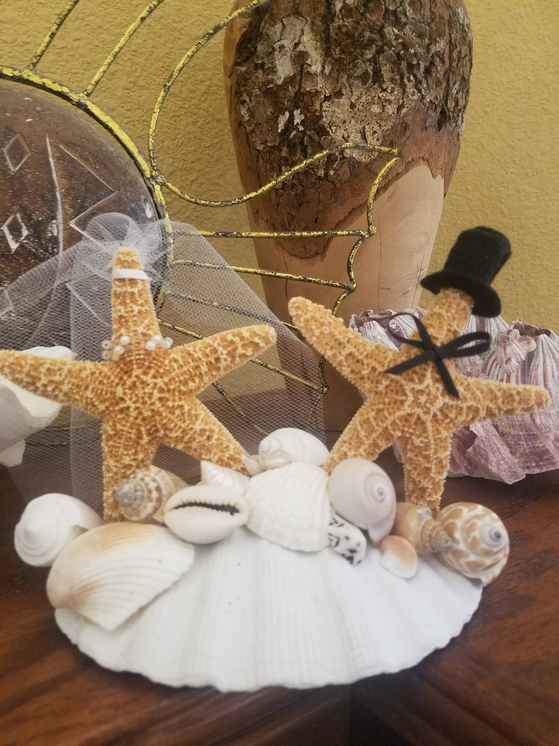 Beach Wedding Cake Topper Decoration Tan Starfish Bride Groom Alternative Real Scallop Shell Pearl Necklace Top Hat Veil Bow Tie Mock Funny