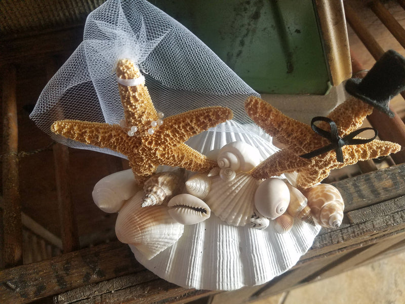Beach Wedding Cake Topper Decoration Tan Starfish Bride Groom Alternative Real Scallop Shell Pearl Necklace Top Hat Veil Bow Tie Mock Funny