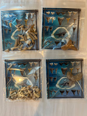 Shark Fossil Cards- 3 Types set