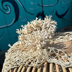 Vintage white lace coral displayed on a netting backdrop.