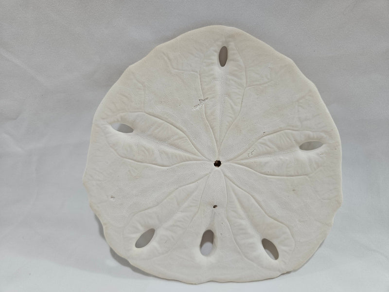 Leodia Sexiesperforata Six Hole Keyhole Sand Dollar - ShelllsLoving Coastal Living