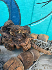 Manzanita root burl with intricate knots and rugged texture, displayed against a turquoise background.