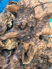 Close up image of Manzanita root burl with intricate knots and rugged texture.