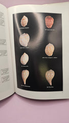 Marine Shells of South Africa