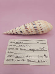 Marlin Spike Shell with Documentation - 4