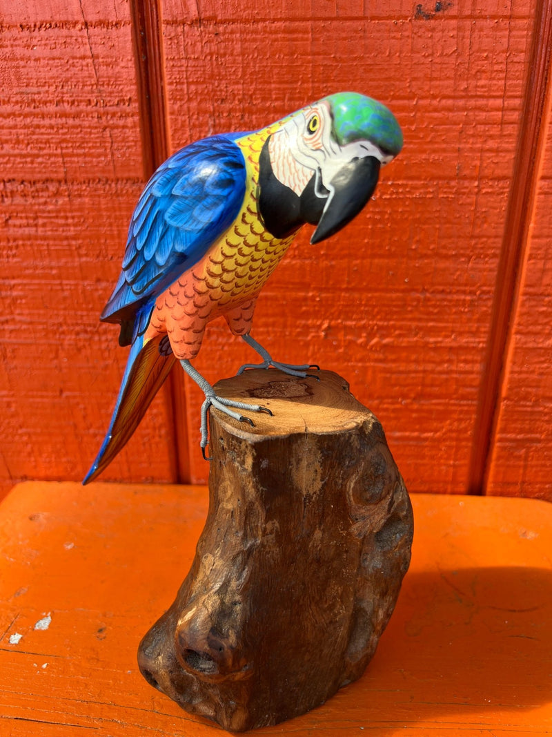 Medium Parrot On Stump - 3 Colors - Accent DecorWorld Shells Imports