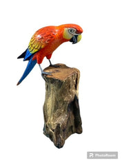 Medium Parrot On Stump - 3 Colors - Accent DecorWorld Shells Imports