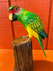 Medium Parrot On Stump - 3 Colors - Accent DecorWorld Shells Imports