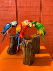 Medium Parrot On Stump - 3 Colors - Accent DecorWorld Shells Imports