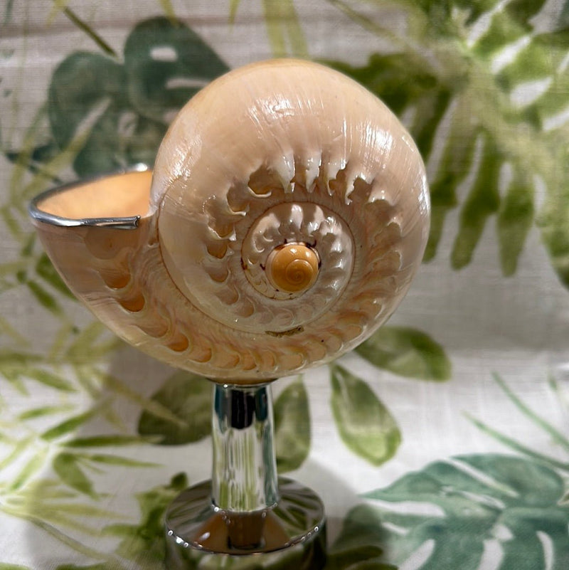 Melon Shell on Metal Stand - Tideline