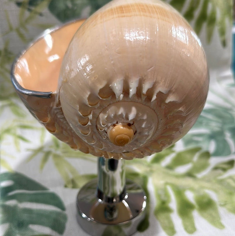 Melon Shell on Metal Stand - Tideline