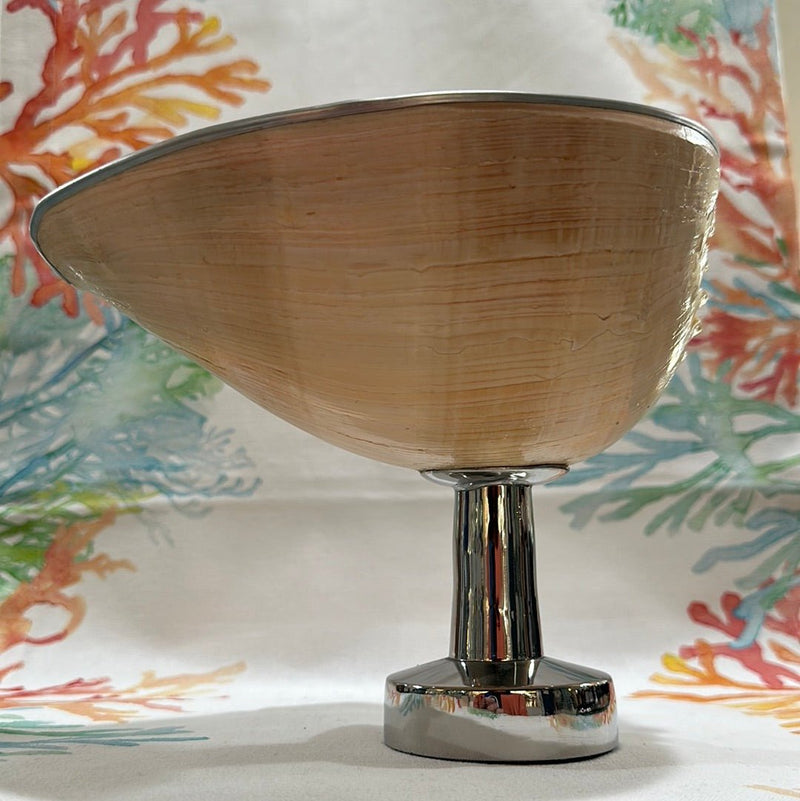 Melon Shell on Metal Stand - ShelllsTideline