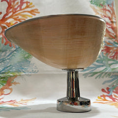 Melon Shell on Metal Stand - ShelllsTideline