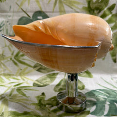 Melon Shell on Metal Stand - Tideline