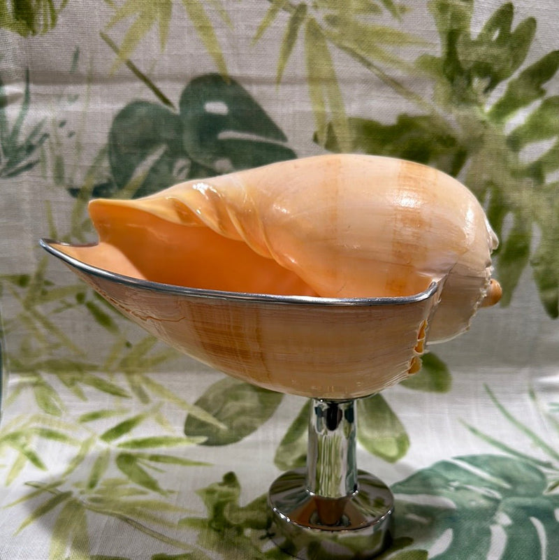 Melon Shell on Metal Stand - Tideline