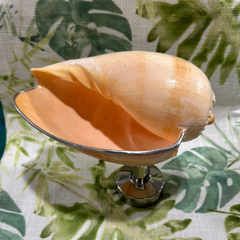 Melon Shell on Metal Stand - Tideline