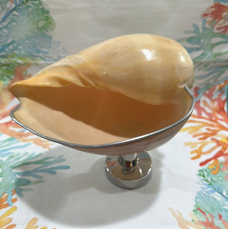 Melon Shell on Metal Stand - ShelllsTideline