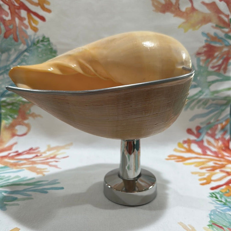 Melon Shell on Metal Stand - ShelllsTideline