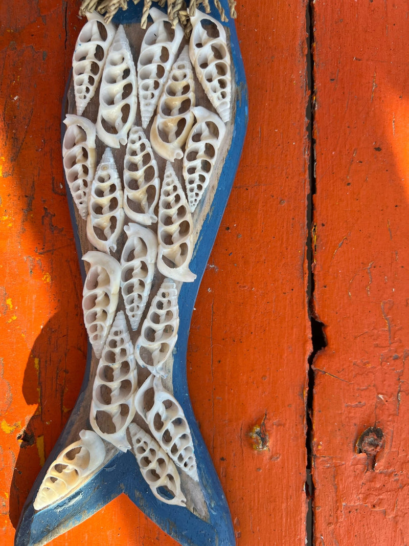 Mermaid Shell Art - 2 Colors & 3 Shells - Wall DecorWorld Shells Imports