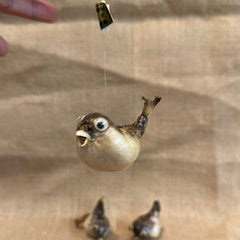 Miniature Parrot Fish - Loving Coastal Living