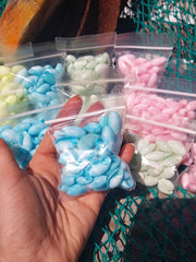 Mixed Pastel Dyed Bubble Shells - Loving Coastal Living