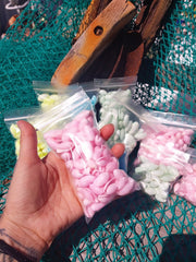 Mixed Pastel Dyed Bubble Shells - Loving Coastal Living