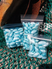Mixed Pastel Dyed Bubble Shells - Loving Coastal Living