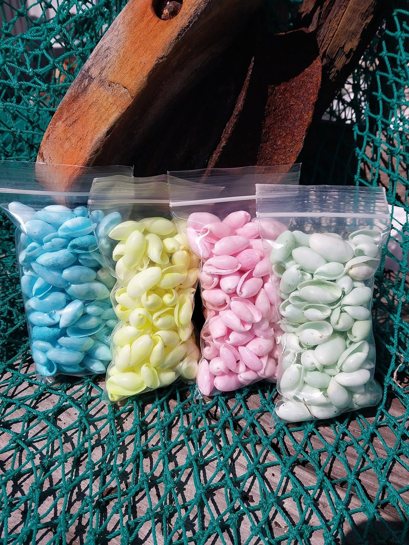 Mixed Pastel Dyed Bubble Shells - Loving Coastal Living