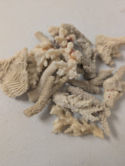 Mixed White Coral Pieces Crafting Assortment - Broken Scrap Lot - coralLoving Coastal Living