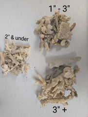 Mixed White Coral Pieces Crafting Assortment - Broken Scrap Lot - coralLoving Coastal Living