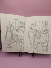 Modeling and Sculpting Animals by Edouard Lanteri - Previously Owned - BooksBarbara Stirling