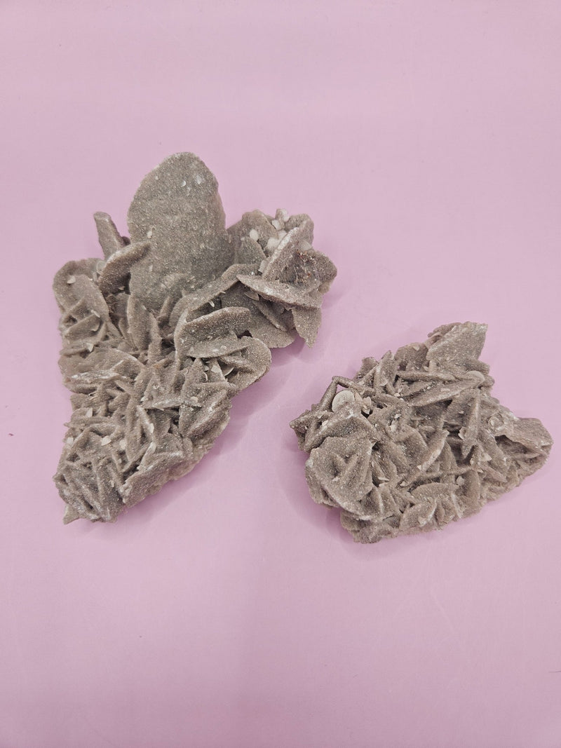 Natural Desert Rose Crystal Gypsum – Gulf Coast Lagoon Mineral Specimens in Small and Large Sizes - Accent DecorLoving Coastal Living