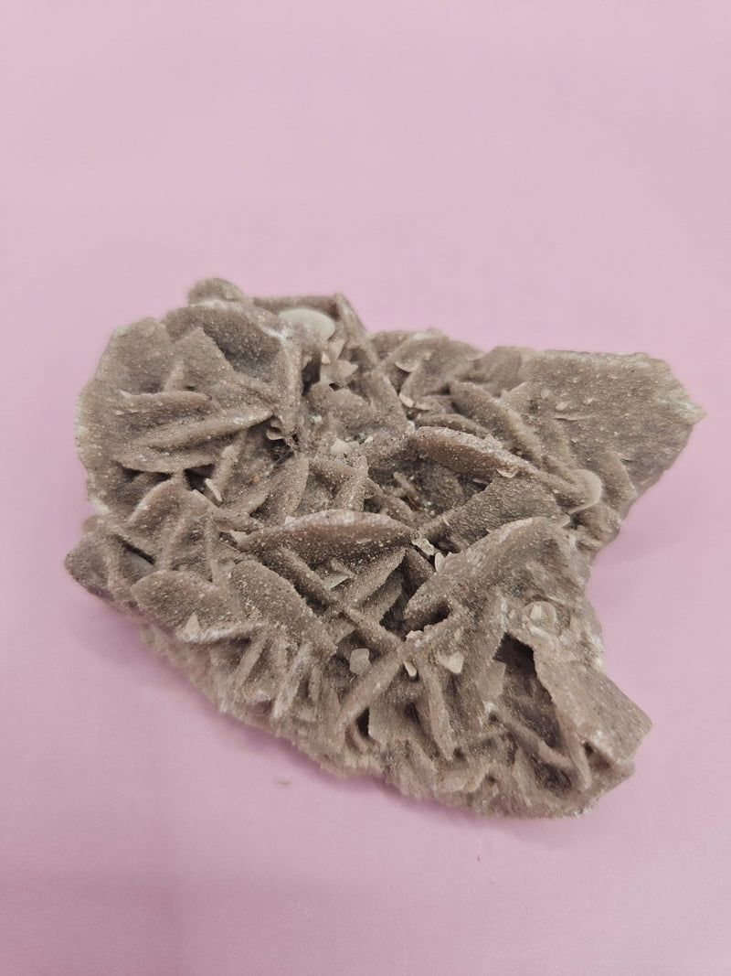 Natural Desert Rose Crystal Gypsum – Gulf Coast Lagoon Mineral Specimens in Small and Large Sizes - Accent DecorLoving Coastal Living