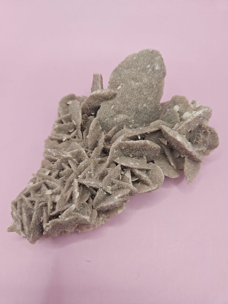 Natural Desert Rose Crystal Gypsum – Gulf Coast Lagoon Mineral Specimens in Small and Large Sizes - Accent DecorLoving Coastal Living