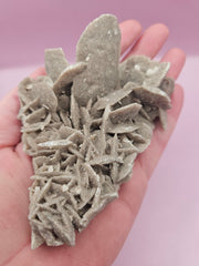 Natural Desert Rose Crystal Gypsum – Gulf Coast Lagoon Mineral Specimens in Small and Large Sizes - Accent DecorLoving Coastal Living