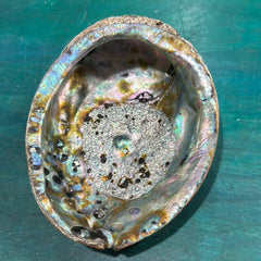 Natural Green Abalone Shell with Embedded Pearl – Iridescent Ocean Treasure (7.5