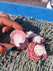 Natural Pecten Pallium (Royal Cloak) Scallop Pairs & Halves - Loving Coastal Living