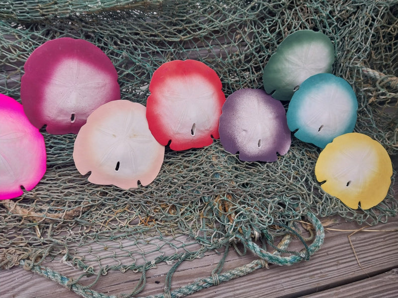 Painted Arrowhead Sand Dollar - Sand DollarLoving Coastal Living