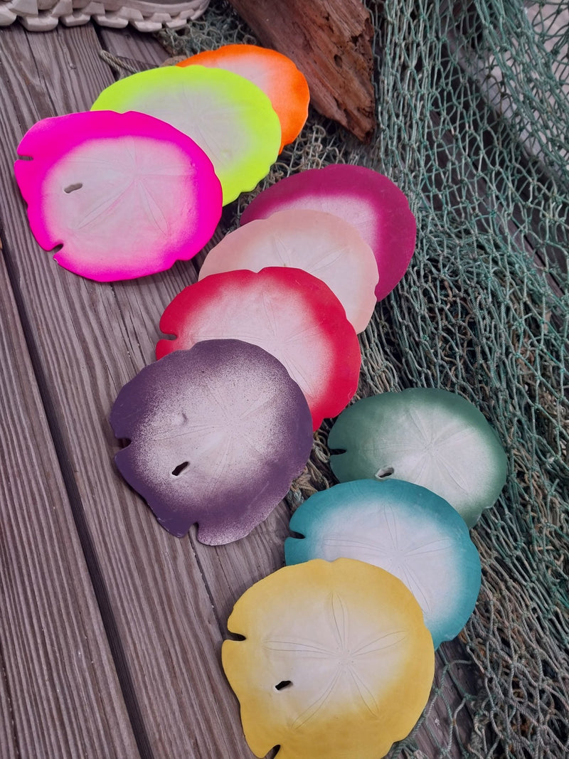 Painted Arrowhead Sand Dollar - Sand DollarLoving Coastal Living