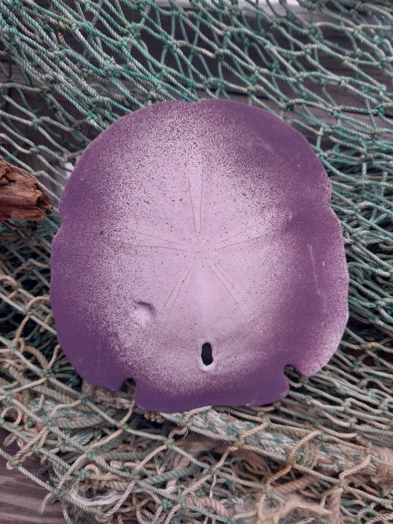 Painted Arrowhead Sand Dollar - Sand DollarLoving Coastal Living