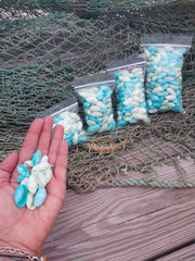 Pastel Dyed Bubble Shells - Loving Coastal Living