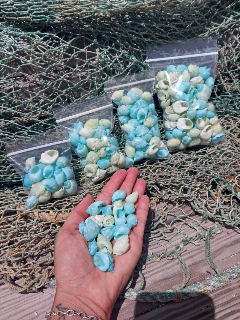 Pastel Dyed Cornball Shell Mix - Loving Coastal Living