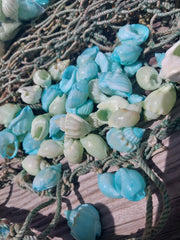 Pastel Dyed Cornball Shell Mix - Loving Coastal Living